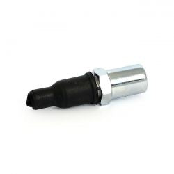 license plate light mount bolt - plain - chr
