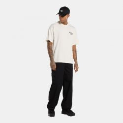 dickies sneedville t-shirt - beige