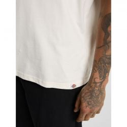dickies sneedville t-shirt - beige