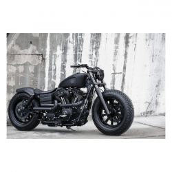 rough crafts guerilla 2-2 exhaust - 06-17 Dyna