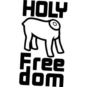 holy freedom stealth diamond helmet - matt blk