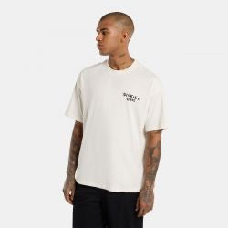 dickies sneedville t-shirt - beige